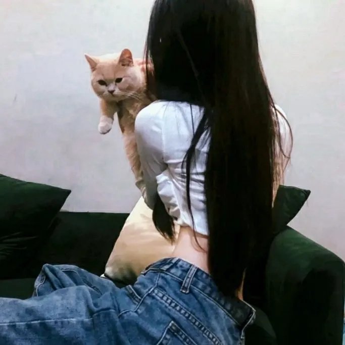 在阳光下腐烂
